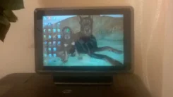MSI WindPad 110W 32Gb ����