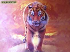 Магниты.