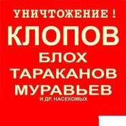 Уничтожение насекомых.