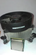 Intel Pentium G6950 ����