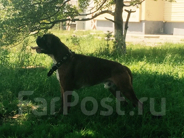 ������. ����
