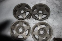 Catwild. x14" ����