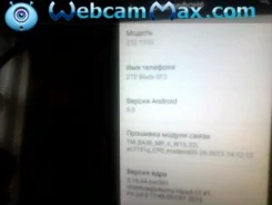 ZTE Blade ����