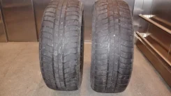 Michelin Pilot Alpin. ������, ��� �����, �/�, ����� 40�%