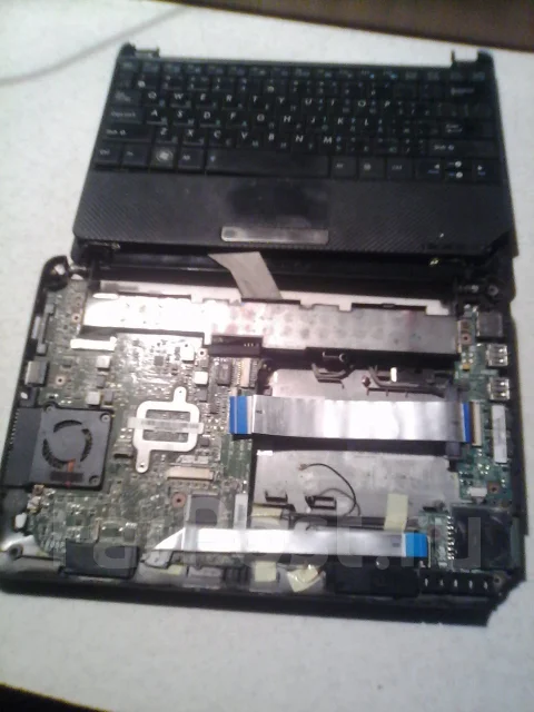 Asus Eee PC 1001P. 1,6����, ��� 256 �� � ������, ���� 1���, WiFi: 1, Bluetooth: 1, ����������� �� 1��. ����