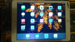 Apple iPad Air 2 ����