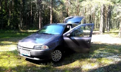 Fiat Punto ����