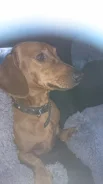 ������. ����