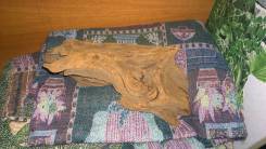 Коряги.