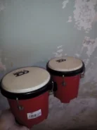 �����. ����