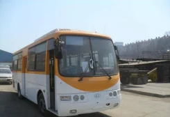 Hyundai Aero Town ����