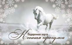 Конная прогулка.