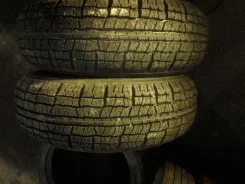 ���� �-391. �����������, 2010 ���, ����� ����