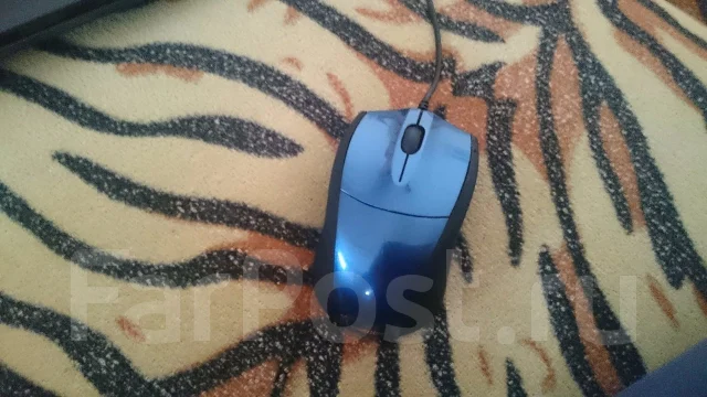Samsung 300E5C. 2,5����, ��� 6 ��, ���� 500���, WiFi: 1, Bluetooth: 1, ����������� �� 3��. ����