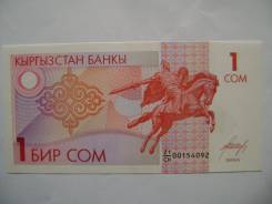 Сом Киргизский.