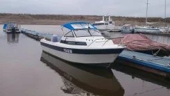 Yamaha Fish 22. 1986 ���, ��������� ���������, ������ ����