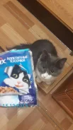 �����. ����