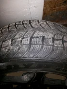 Federal Himalaya WS2. ������, ��� ����, �/�, ����� 5�%