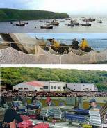 ������� ��. ��� "���������� �����". ����������� ������� ����