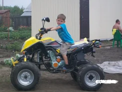 Bashan BS 200. ��������, ���� ���\���, � �������� ����
