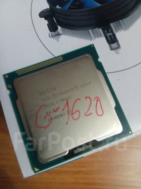 Intel Celeron G1620 ����