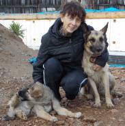 Помощник редактора. Высшее образование, опыт работы 9 лет