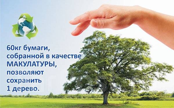 Где принимают макулатуру во владивостоке ноябрьск макулатура
