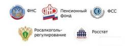 150руб Отчетность Налоговая и прочая ФНС ПФР ФСС РосСтат Фсрар РПН