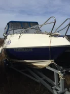 Pragmatic. 2012 ���, ��������� ���������, ������ ����