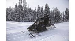 Arctic Cat Bearcat 2000 XTE. исправен, есть птс, без пробега