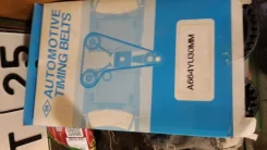 �������� ����