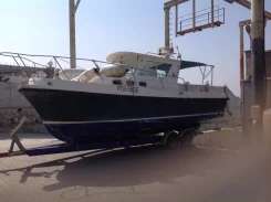 Albin. 2007 ���, ��������� ������������, ������ ����
