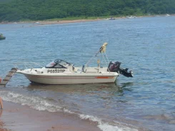 Yamaha FR-17. 1991 ���, ��������� ���������, ������ ����