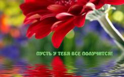 Ищу человека для проживания в деревне. Комната