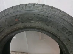 Autogrip Ecowinter. ������, ��� ����, 2014 ���, �/�, ����� 5 % ����
