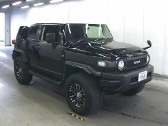 Toyota FJ Cruiser. GSJ15W. ��� ����� �� ���������� ����