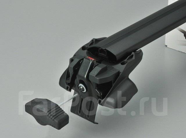 ���������. ����