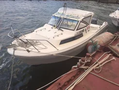 Yamaha Fish 22. 1992 ���, ��������� ���������, ������ ����