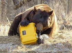 Топосьемка, геодезия, вынос точек , техплан, обьемы , координирование.