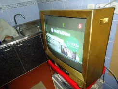 Panasonic TX-29F250T. CRT (���) ����