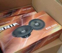 Aria ����