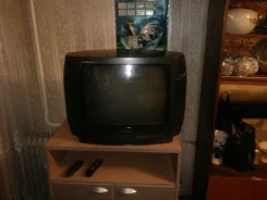 Panasonic