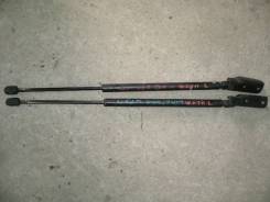 Амортизатор двери багажника. Nissan Wingroad, WPY11, WFNY11, WHY11, WRY11, WFY11, WHNY11