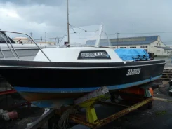 Yamaha F-17. 1993 ���, ��������� ��������� ����