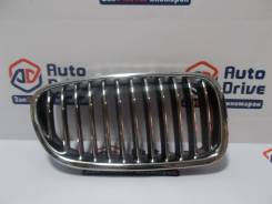 Решетка радиатора. BMW