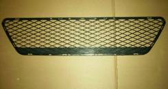 Решетка бамперная. Ford Focus, CA5, CAP, CB4, CB8 Ford Focus ST, CB8 Ford C-MAX, CAP