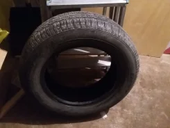 Goodyear Integrity. ������, �/�, ����� 5�% ����