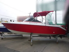 Yamaha FR-21. 1995 ���, ��������� ���������, ������. ��� ����� �� ������������ ����