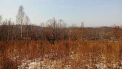 Земельный участок 20 соток на Глобусе. 2 000 кв. м., собственность, от частного лица (собственник). Фото участка