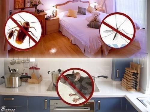 Профессиональное уничтожение тараканов, клопов, блох, в Артеме